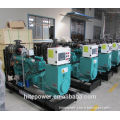 three phase 60hz 62.5kva biomass generator from china factory